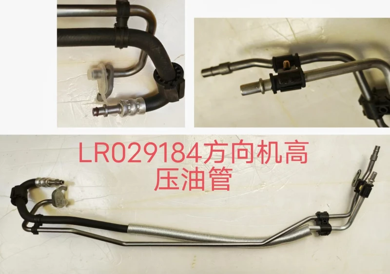 LR029184 LR029184