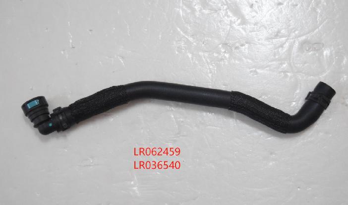 LR062459