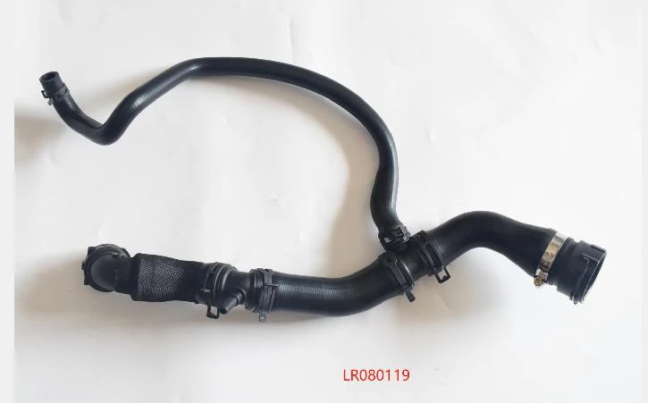 LR080119