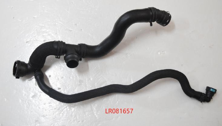 LR081657