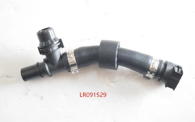 LR091529