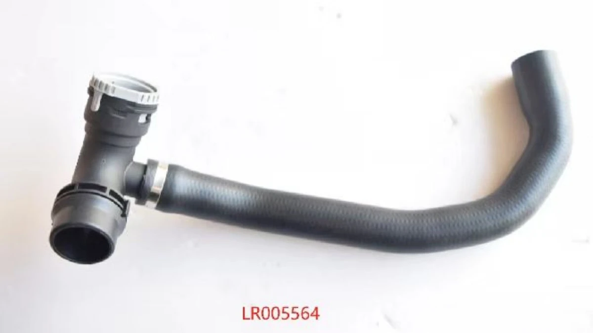 LR005564