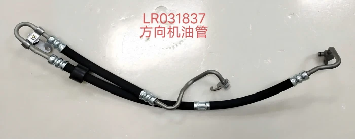 LR031837