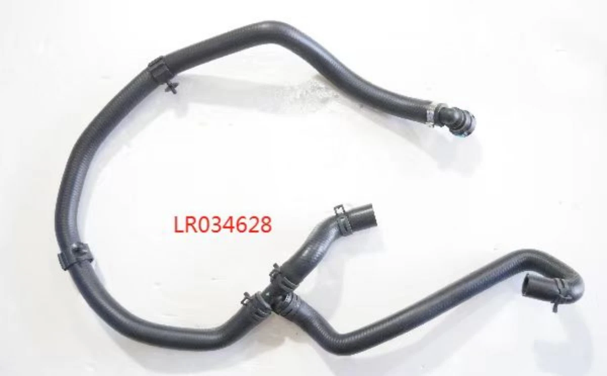 LR034628