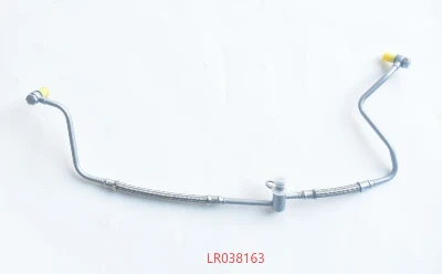LR038163 LR038163