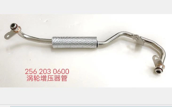 2562030600