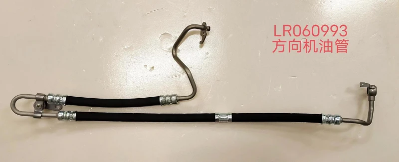 LR060993 LR060993
